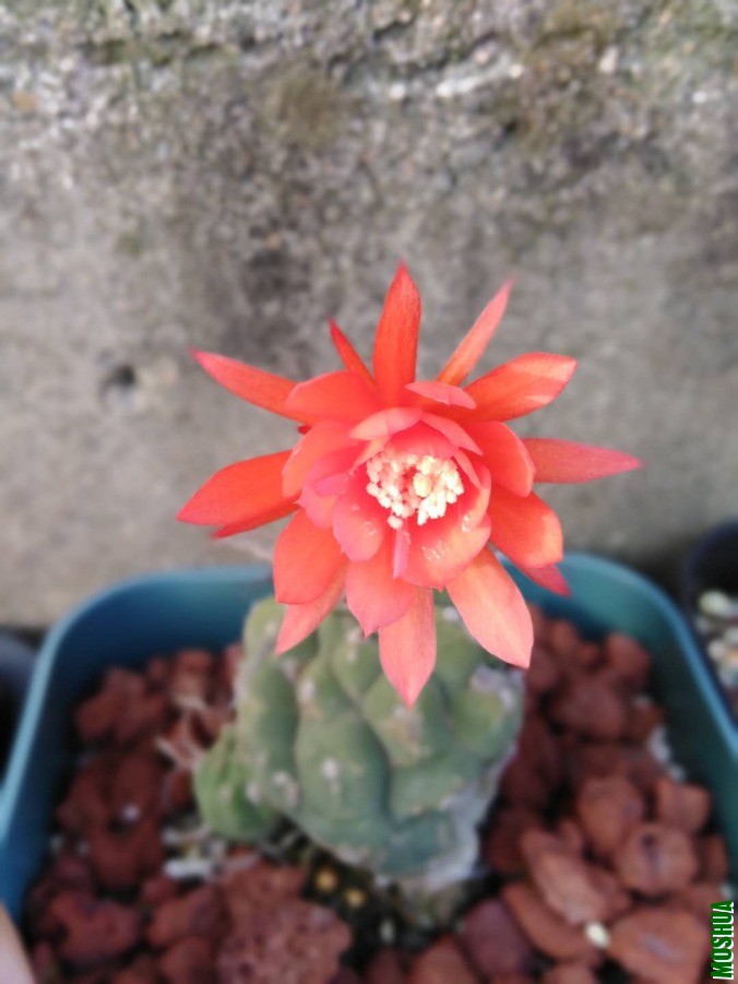 ΢��ͼƬ_2019060510370730.jpg