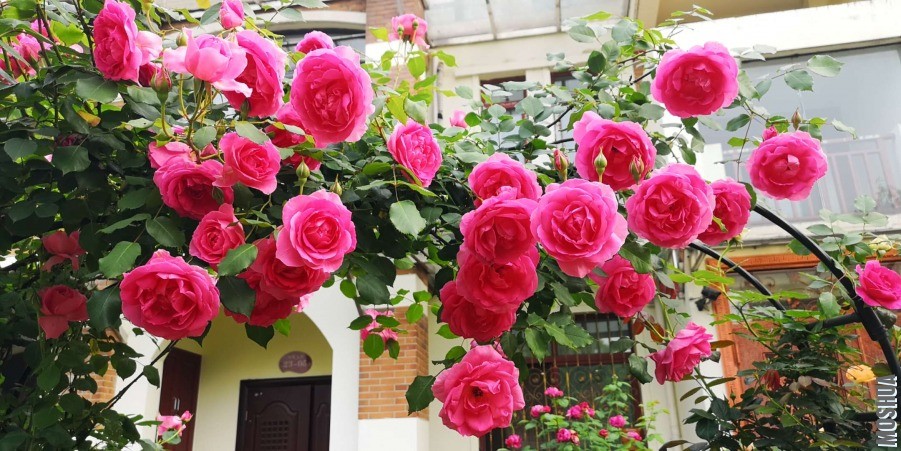 ΢��ͼƬ_20190428104442.jpg