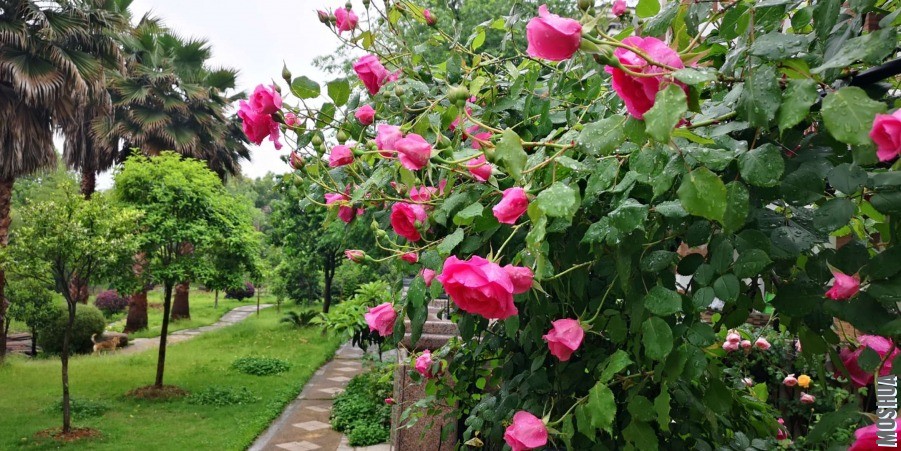 ΢��ͼƬ_20190428104349.jpg