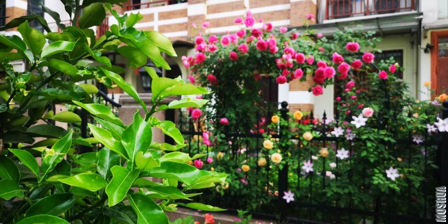 ΢��ͼƬ_20190428104438.jpg