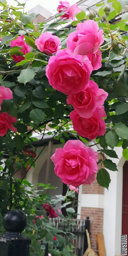 ΢��ͼƬ_20190428104456.jpg