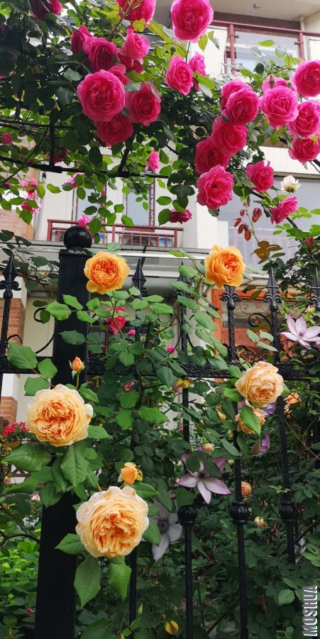 ΢��ͼƬ_20190428104507.jpg