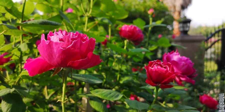 ΢��ͼƬ_20190428095309.jpg