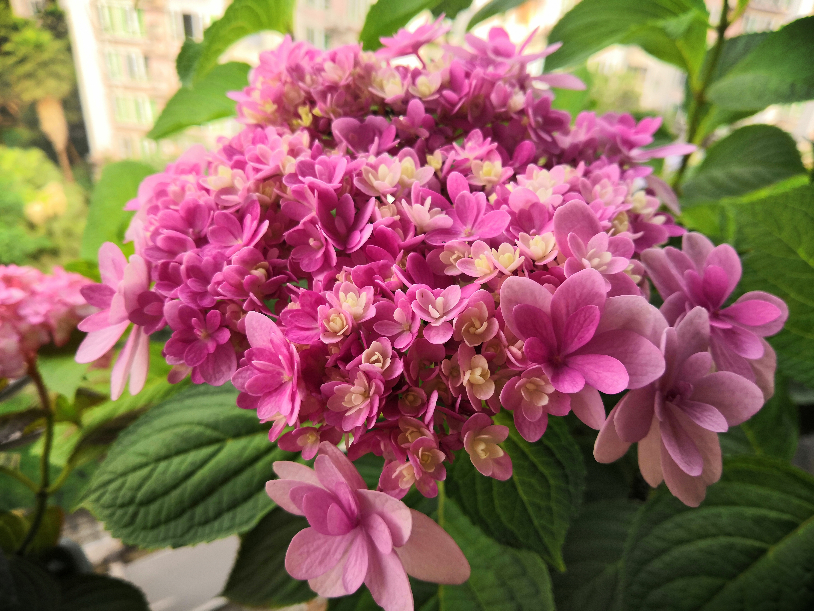 IMG_20190517_090139.jpg