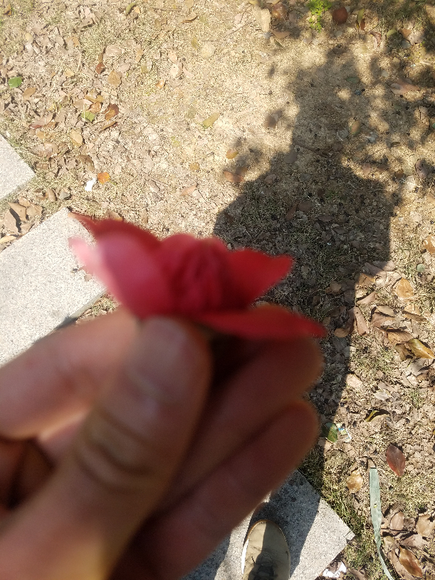 20190317_102222.jpg