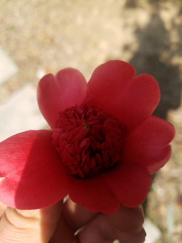 20190317_102230.jpg