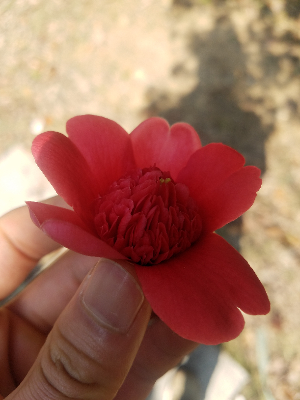 20190317_102224.jpg