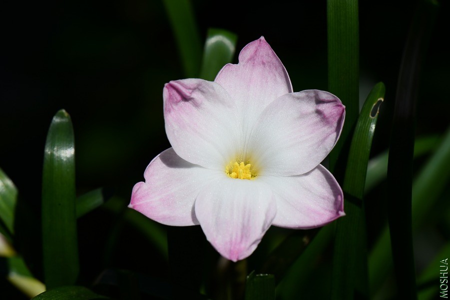 DSC_1250.JPG