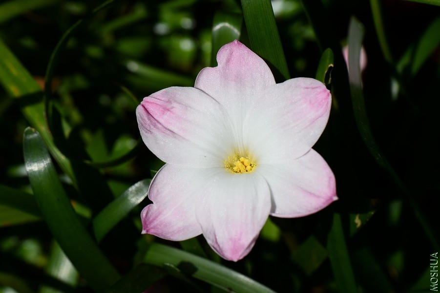 DSC_1263.JPG