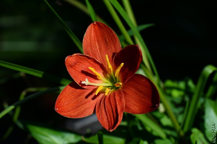 DSC_1180.JPG