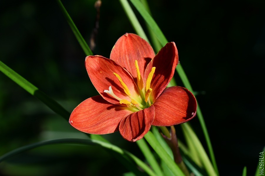 DSC_1188.JPG