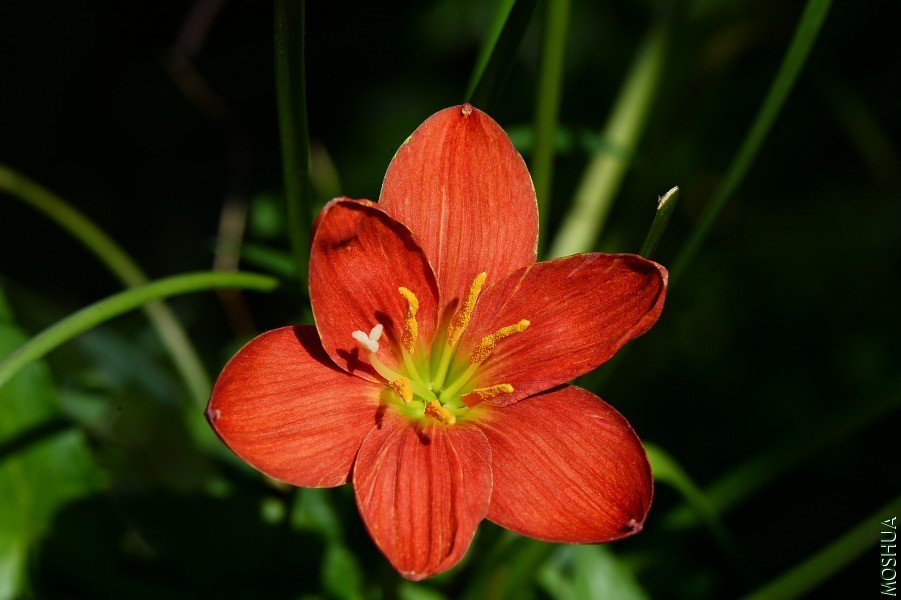 DSC_1237.JPG