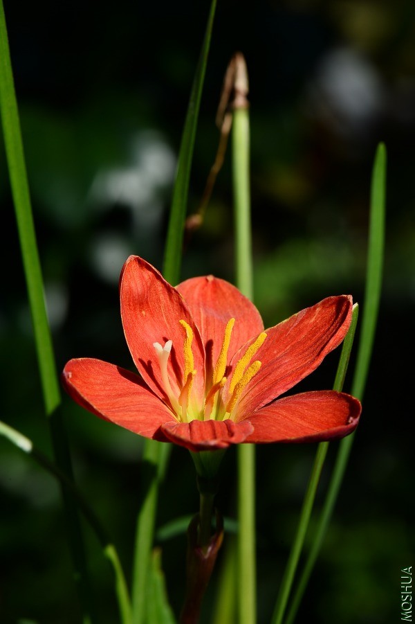 DSC_1245.JPG