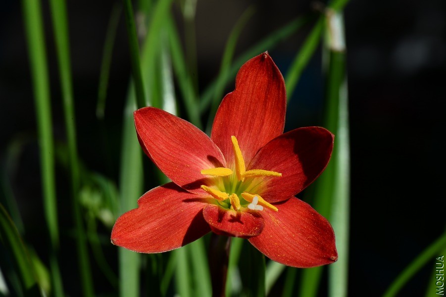 DSC_1043.JPG
