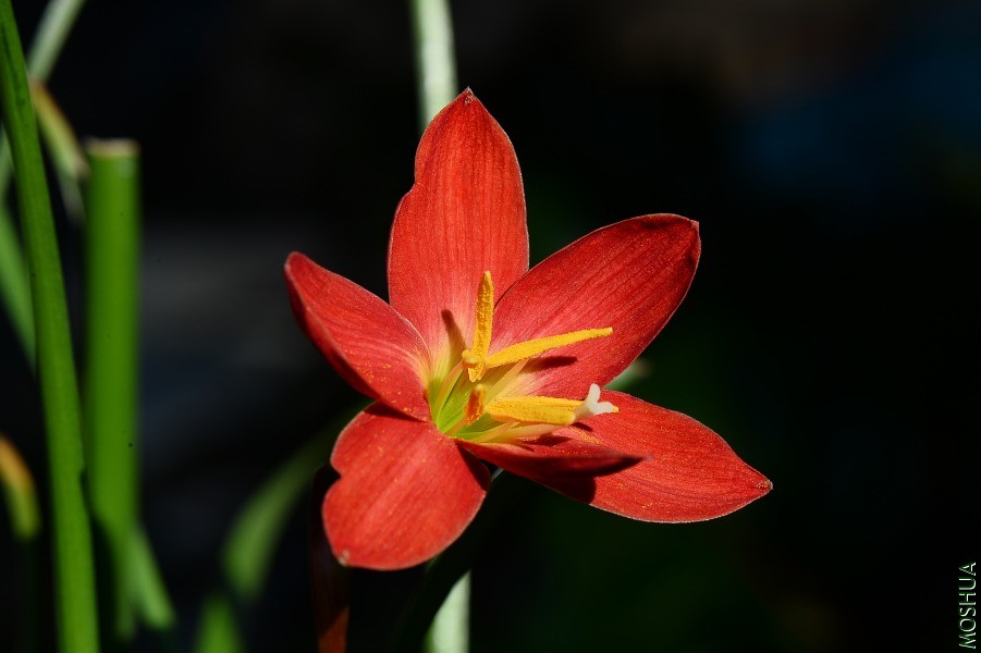 DSC_1051.JPG