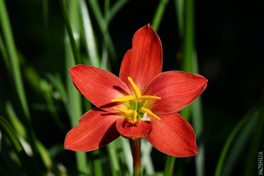 DSC_1064.JPG