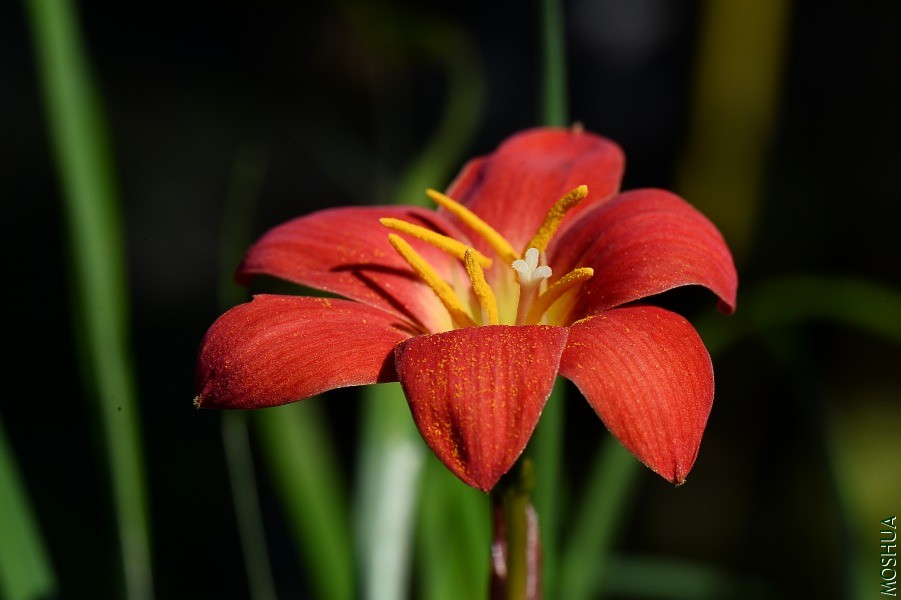DSC_1175.JPG