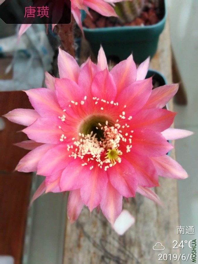΢��ͼƬ_201906061053069.jpg
