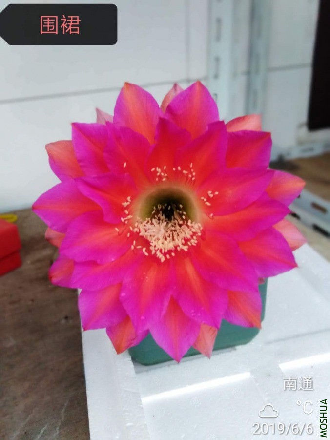 ΢��ͼƬ_2019060610530610.jpg