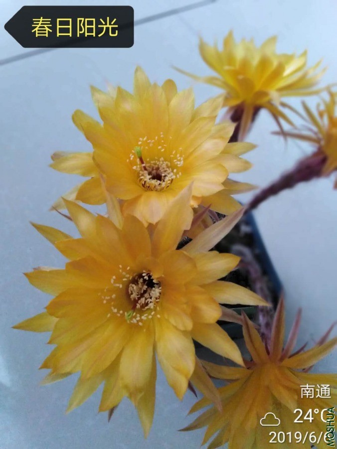 ΢��ͼƬ_2019060610530611.jpg