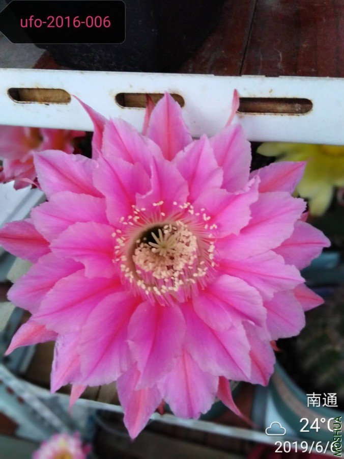 ΢��ͼƬ_2019060610530612.jpg
