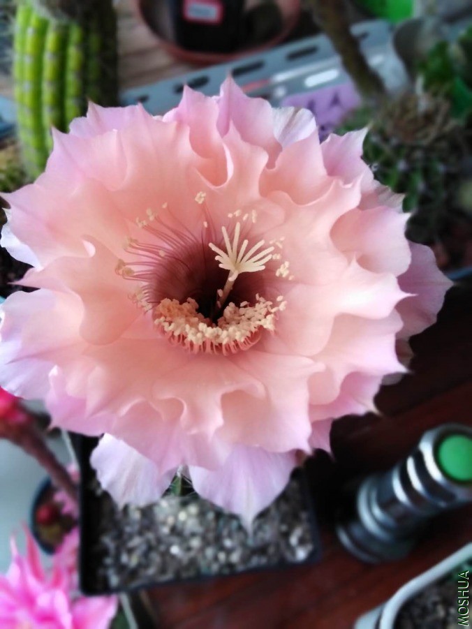 ΢��ͼƬ_2019060610530617.jpg