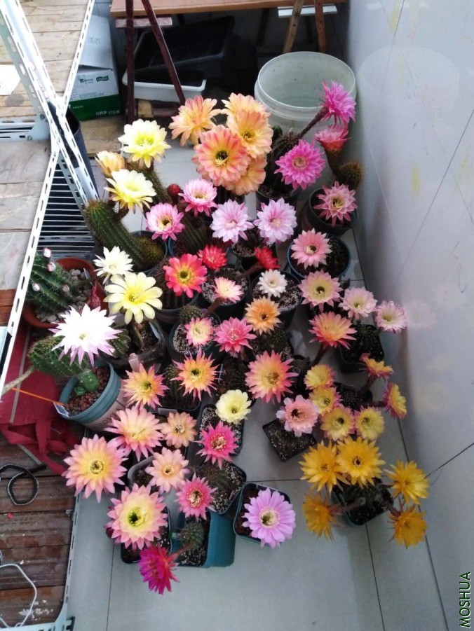 ΢��ͼƬ_2019060610530637.jpg