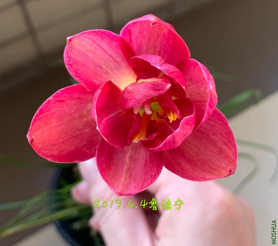 ΢��ͼƬ_20190606151601.jpg