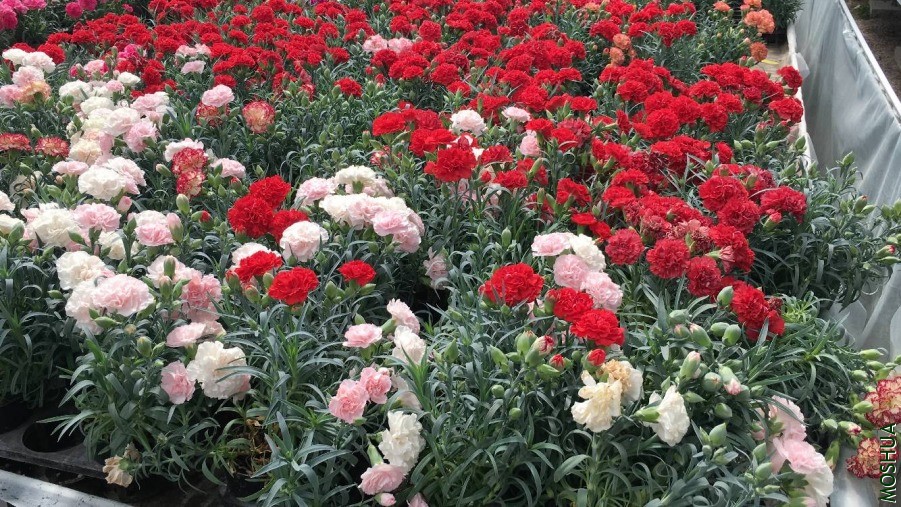 20190606_142949584_iOS.jpg