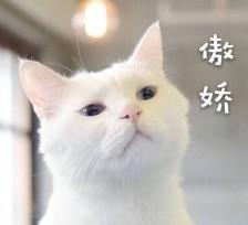 u=2011327393,2694199078&fm=26&gp=0.jpg