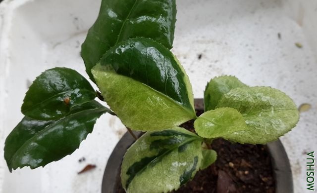 20190515_142141_����.jpg