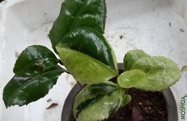 20190515_142143_����.jpg
