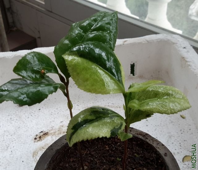 20190515_142147_����.jpg