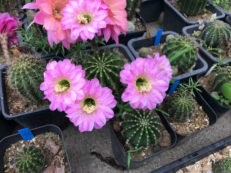 412-1.jpg