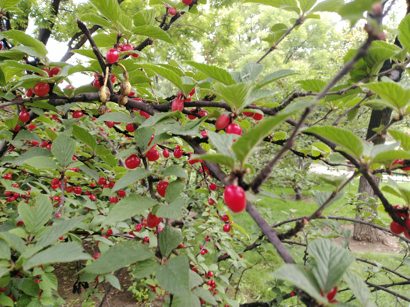 IMG_20190608_143626.jpg