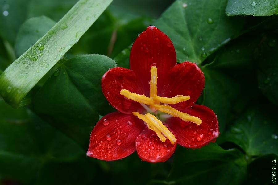 DSC_2112.JPG