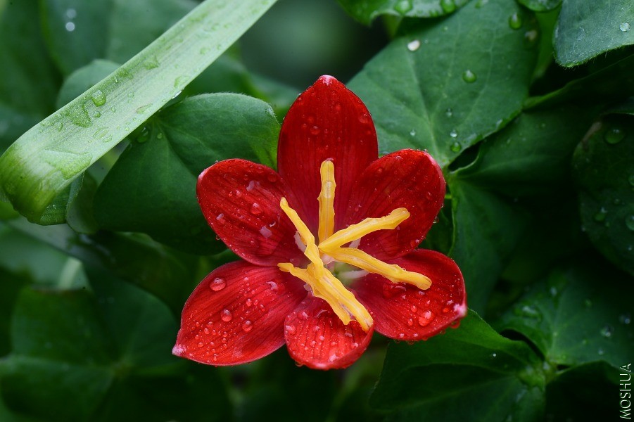 DSC_2118.JPG