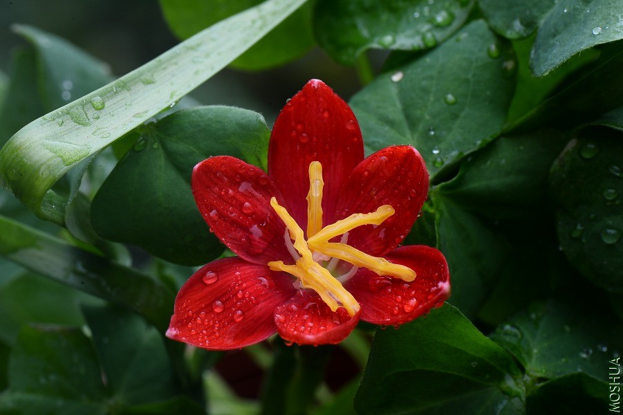DSC_2126.JPG