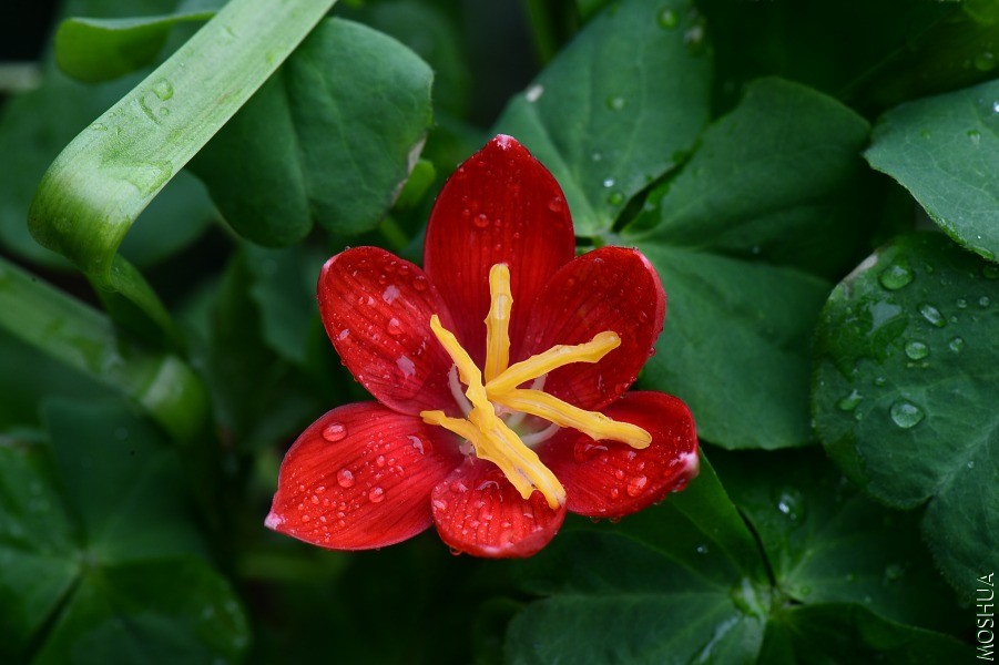 DSC_2179.JPG