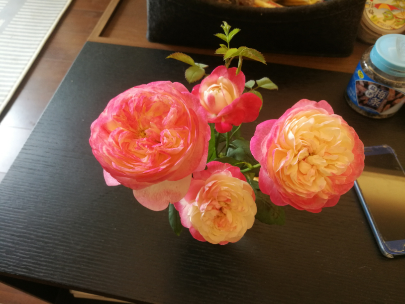IMG_20190526_141545.jpg