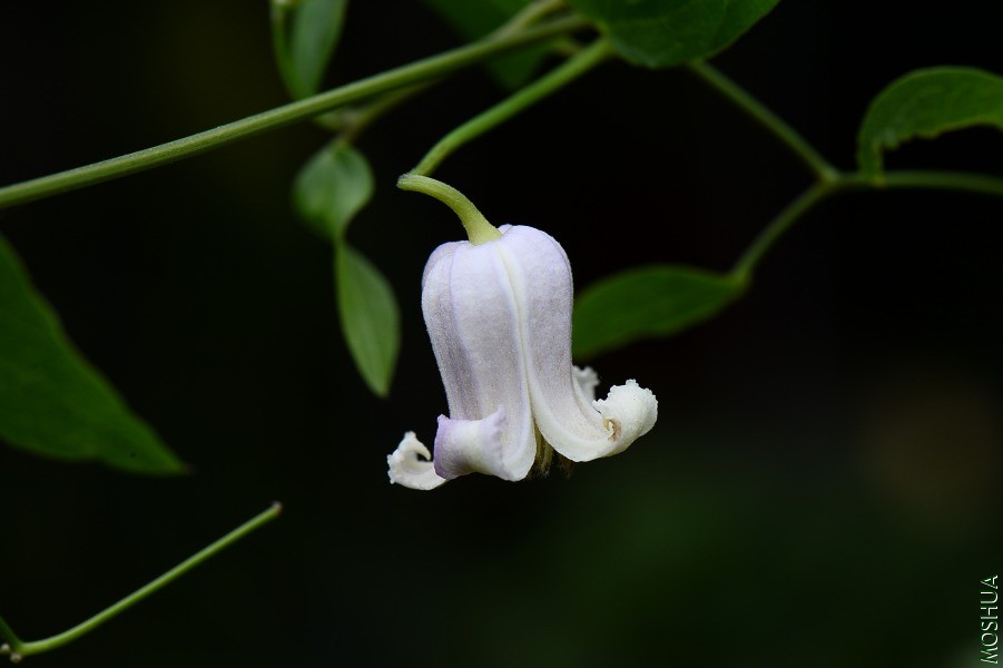DSC_1891.JPG
