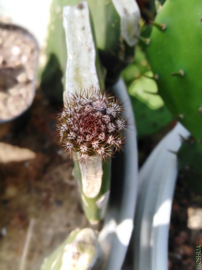 ΢��ͼƬ_20190608100658.jpg