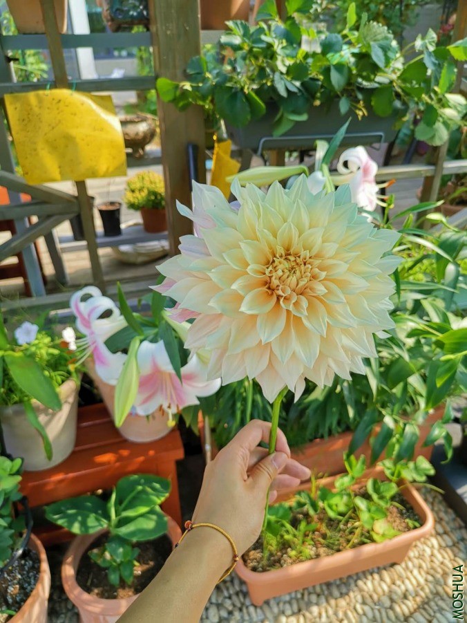 ΢��ͼƬ_20190614163940.jpg