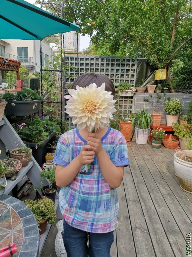 ΢��ͼƬ_20190614163936.jpg