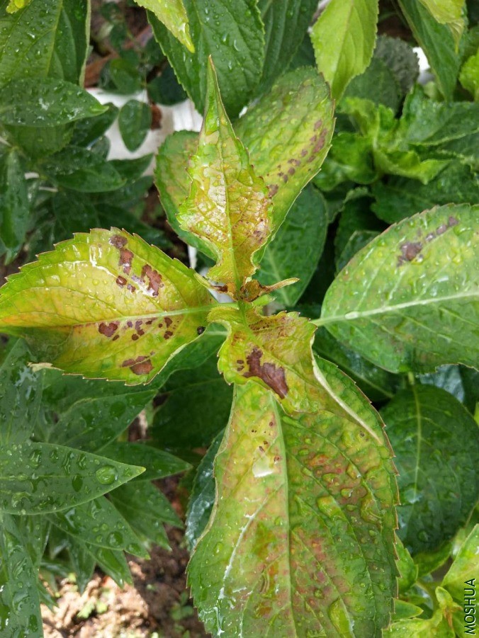΢��ͼƬ_20190618084939.jpg
