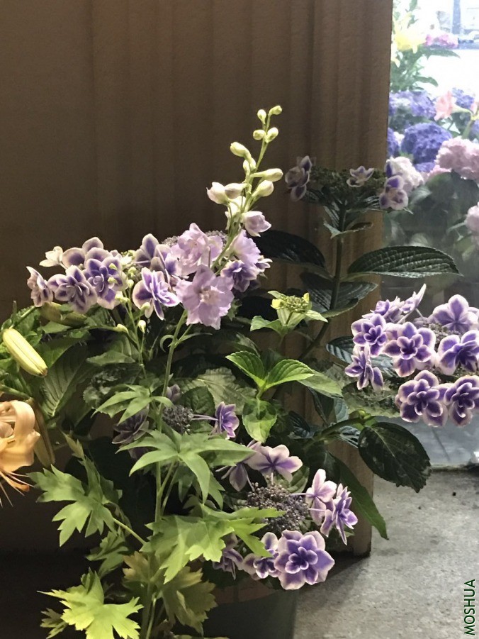 ΢��ͼƬ_20190618131220.jpg