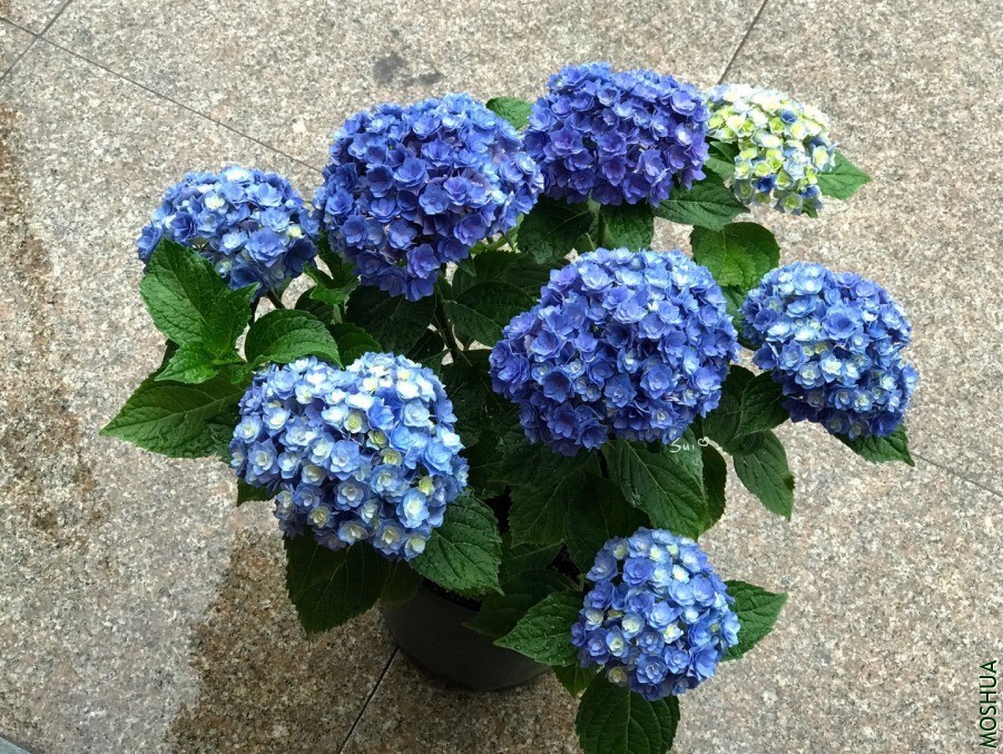 ΢��ͼƬ_20190618131254.jpg