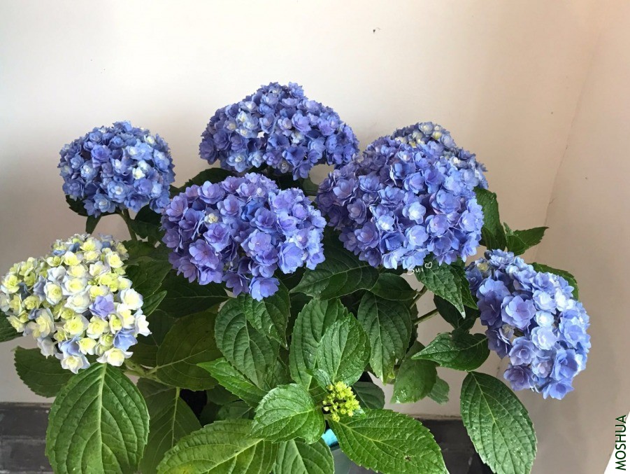 ΢��ͼƬ_20190618131308.jpg