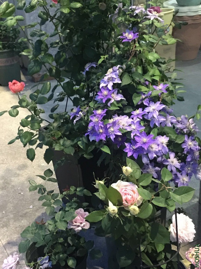 ΢��ͼƬ_20190618131314.jpg