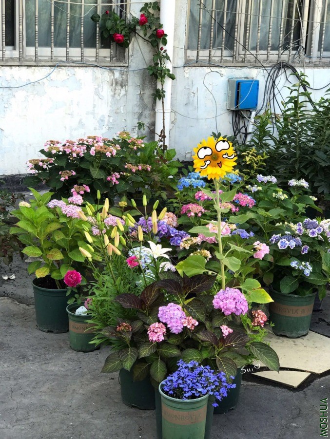 ΢��ͼƬ_20190618131311.jpg